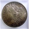 Image 2 : 1884O Morgan $  ICG64