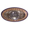 Image 1 : CA - 1925 - California Diamond Jubilee Pin