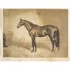 Image 1 : Lote de cuatro estampas inglesas de caballos.