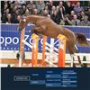 Image 1 : Dorado VDL Chestnut - KWPN - Gelding - April 26th, 2008 - XL.