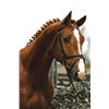 Image 2 : Dorado VDL Chestnut - KWPN - Gelding - April 26th, 2008 - XL.