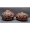 Image 1 : TWO MEXICAN GOURDS