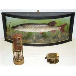 Early C20th brass fly fishing reel with ivory handle