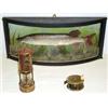 Image 1 : Stuffed pike in bowed glass fronted case