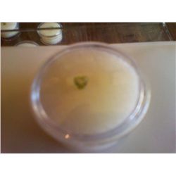 Faceted Green Gemstone From Gemstone Parcel Trilliant Shaped 1/8"