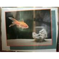 CUTE  FRAMED KITTY POSTER UNDER GLASS