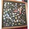 Image 1 : PIN COLLECTION IN SHADOW BOX  MAMMOTH  SEA WORLD LOTTERY AND MORE
