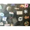 Image 2 : PIN COLLECTION IN SHADOW BOX  MAMMOTH  SEA WORLD LOTTERY AND MORE