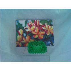 Vintage 2 1/2" Nobby Green Candleholder