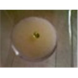 Small Faceted Green Gemstone From Gemstone Parcel Oval 3/16"