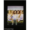 Image 1 : Desperate Housewives Signed Cast Photo
