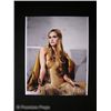 Image 1 : Isabel Lucas Signed Immortals Photo