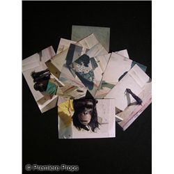 Photos from Project X