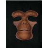 Image 1 : Planet of the Apes Makeup