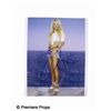 Image 1 : Pam Anderson Signed Photo