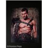 Image 1 : Andy Whitfield Signed Spartacus Photo