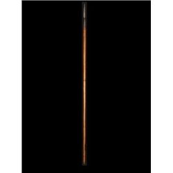 Immortals Theseus (Henry Cavill) Spear