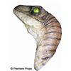 Image 1 : Dinosaur Head