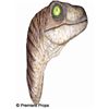 Image 2 : Dinosaur Head