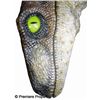 Image 3 : Dinosaur Head