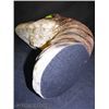 Image 4 : Dinosaur Head