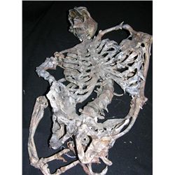 Invasion Skeleton