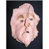 Image 1 : Ann Ramsey Stunt Mask