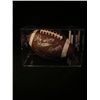 Image 1 : Signed American Idiot Football