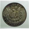 Image 3 : 1880-S Morgan Dollar NGC MS-64
