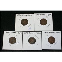 1895 Indian Head Penny, lot of 5