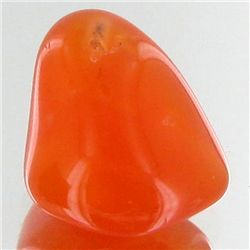 15.65ct Carnelian Freeform Cabochon (GEM-34126)