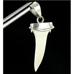 Sterling Shark Ivory Pendant (JEW-2018)