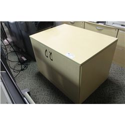 MAPLE DOUBLE DOOR CABINET