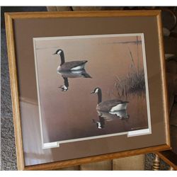 Geese in pond Print by Bruce Summerfield.  592/1500