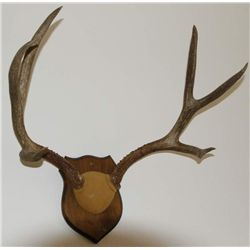 Big 3x3 mount :)