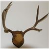 Image 1 : Big 3x3 mount :)
