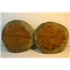 Image 1 : 4 7/8" X 4 3/8" Trilobite fossil w/ Both Fitted Halves-Scarce