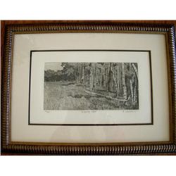 Whispering Woods Etching Signed and Numbered by Coleman