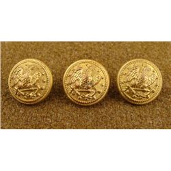 3 Civil War Naval Original Gilt Buttons D. Evans