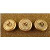 Image 2 : 3 Civil War Naval Original Gilt Buttons D. Evans