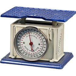 Alexandra Bathroom Scale w/ Flip Up Dial Face