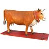 Image 1 : 1880 German "Cow" Pull Toy