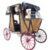Image 1 : Time Machine Stagecoach