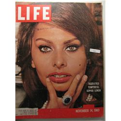 November 1960 Life Magazine; Sophia Loren