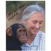 Image 1 : Jane Goodall