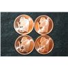Image 1 : 2011 Buffalo Copper Round, .999 Fine 1 Oz.