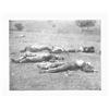 Image 1 : (GETTYSBURG DEAD ALBUMEN)
