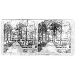 (ARLINGTON CEMETARY)