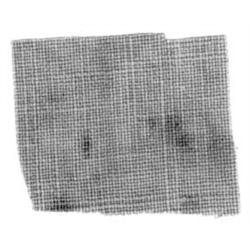 (LINCOLN ASSASSINATION RELIC)