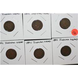 1891 Indian Head Pennies, lot of 6